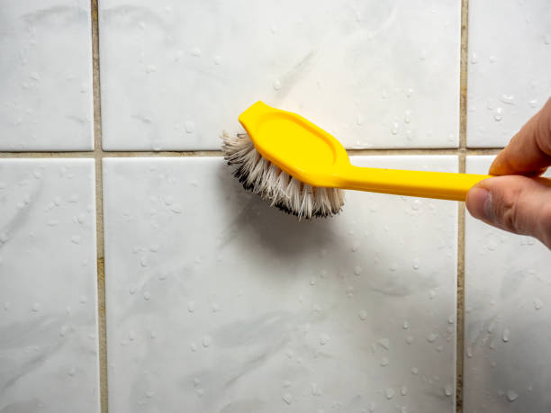 Best Emergency Mold Removal  in Pocahontas, AR