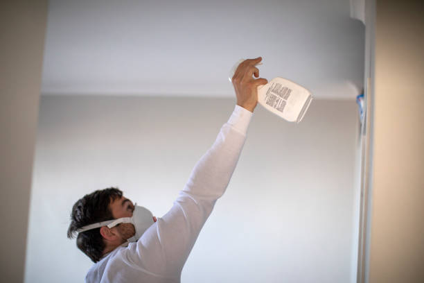 Best Mold Inspection  in Pocahontas, AR
