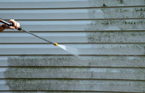 Professional Mold Removal in Pocahontas, AR